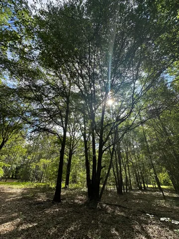 $95,000 | Lot E South Waynesboro Ga 30830, Waynesboro, GA 30830