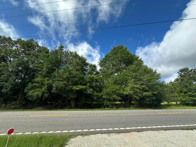 $95,000 | Lot E South Waynesboro Ga 30830, Waynesboro, GA 30830