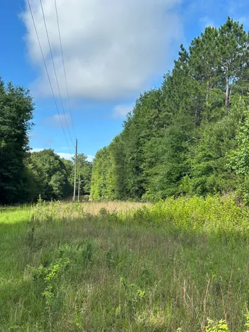 $95,000 | Lot E South Waynesboro Ga 30830, Waynesboro, GA 30830