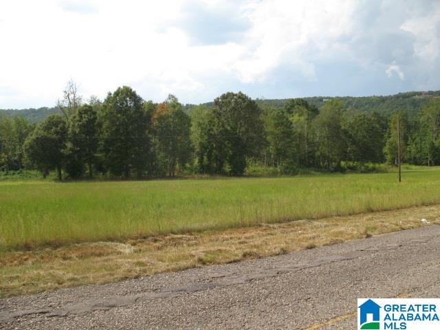 Crawford Cove Road, Unit 3 Springville, AL 35146 - Photo 3 of 6 Gallery Image 3