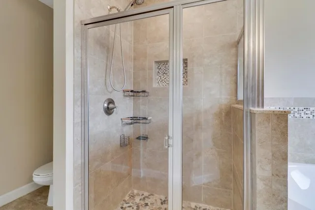 a bathroom with a shower and toilet