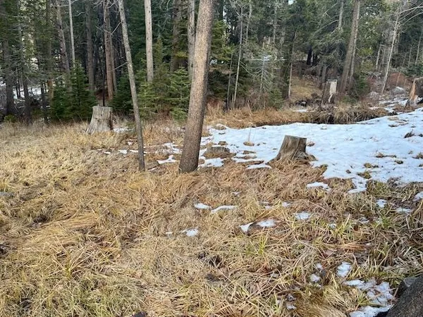 $160,000 | 799 Minaret Road, June Lake, CA 93529