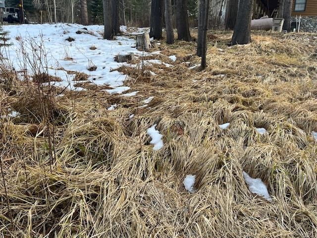 799 Minaret Road June Lake, CA 93529 - Photo 3 of 12 Exterior view