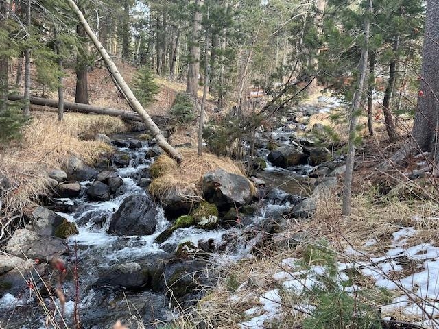 799 Minaret Road June Lake, CA 93529 - Photo 5 of 12 View of wooded area