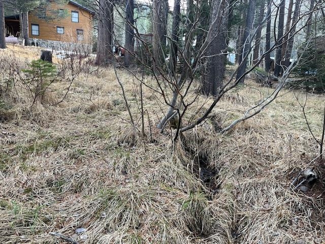 799 Minaret Road June Lake, CA 93529 - Photo 6 of 12 View of nature