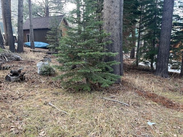 799 Minaret Road June Lake, CA 93529 - Photo 7 of 12 View of yard