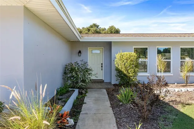 a view of a house with potted plants