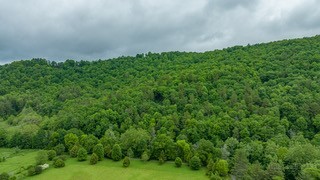 6 Walnut Ridge Road Vilas, NC 28692 - Photo 9 of 12 a view of a field of grass and trees