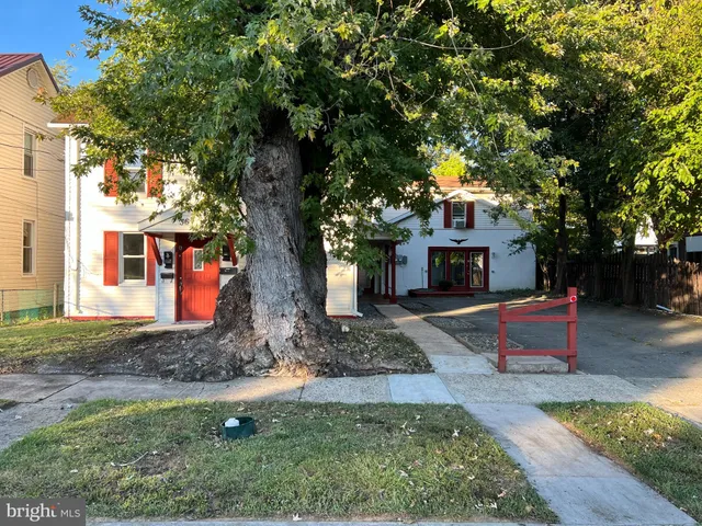 a view of a park with large trees