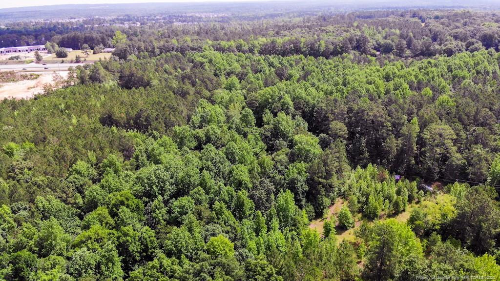 24-87 Nc Cameron, NC 28326 - Photo 6 of 28 an aerial view of a houses with a lush green hillside