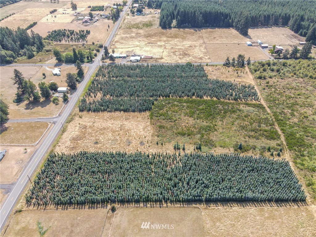 0 Lot 2 Tennessee Road Winlock, WA 98596 - Photo 8 of 9