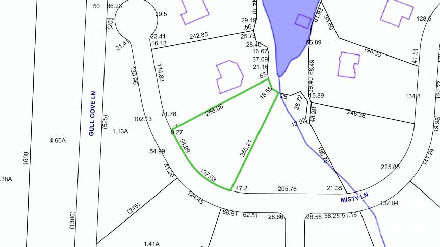 1320 Misty Lane, Unit 13 Hickory, NC 28601 - Photo 2 of 16