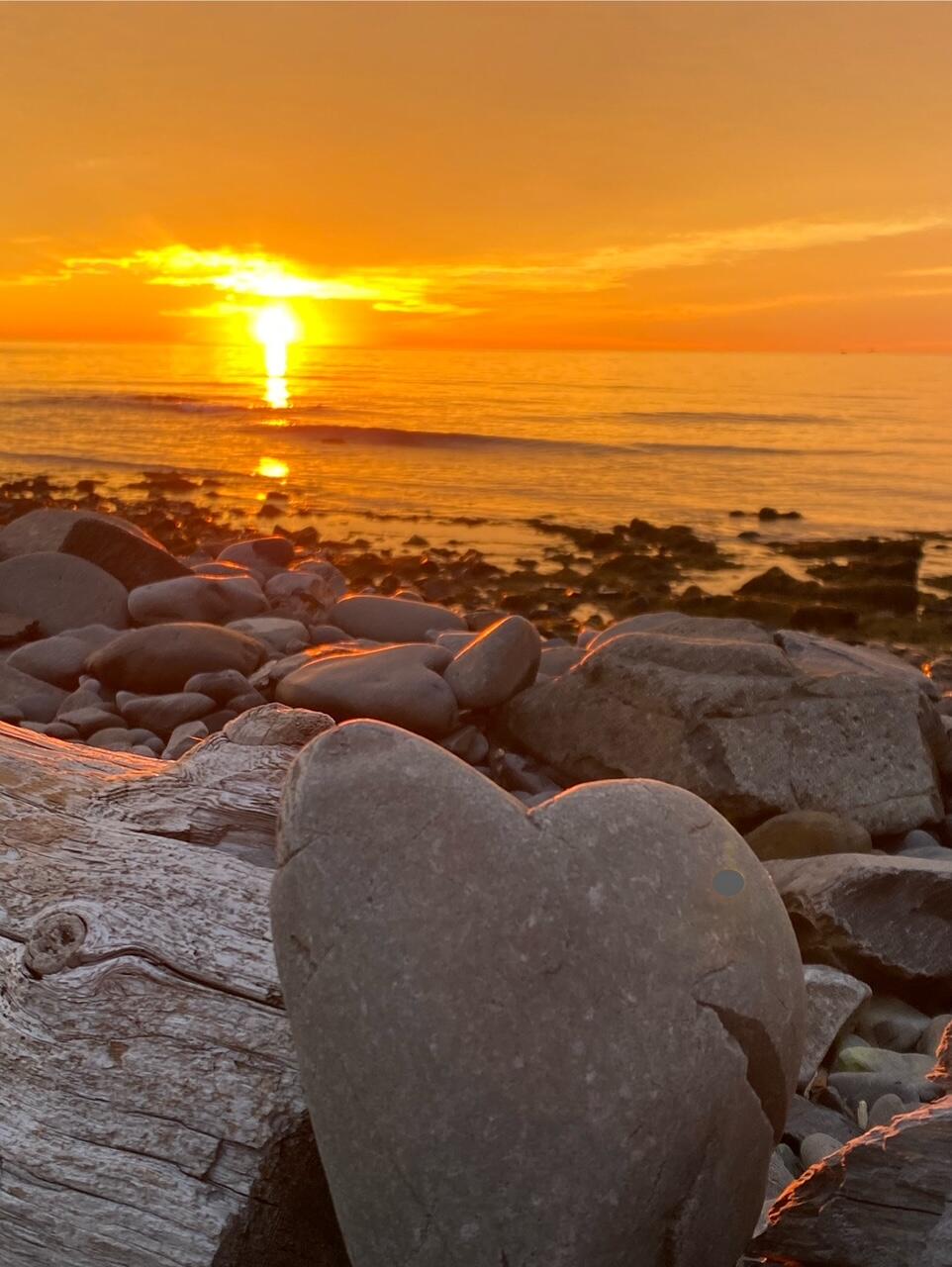 12 Kings Road York, ME 03909 - Photo 61 of 67 12 Kings Rd, York