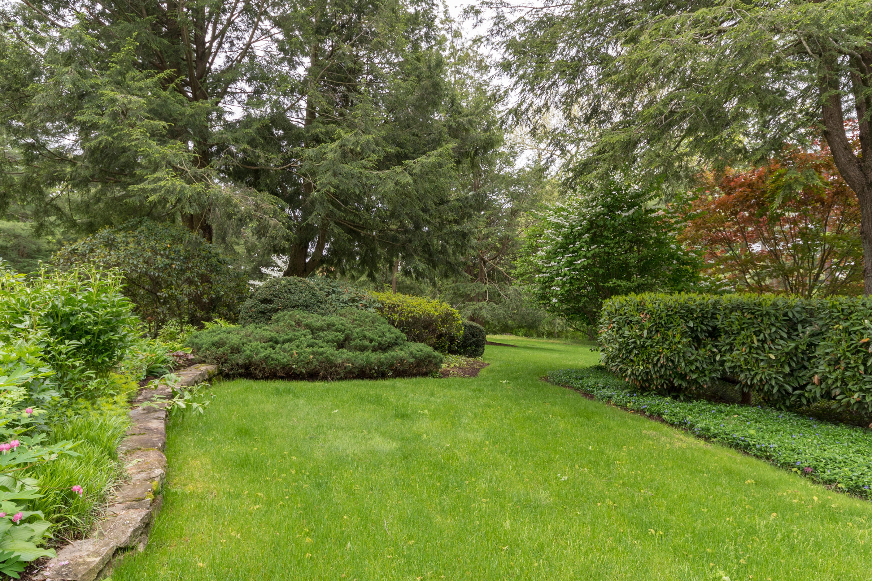 9 Pembroke Road Darien, CT 06820 - Photo 3 of 40 a view of yard with green space