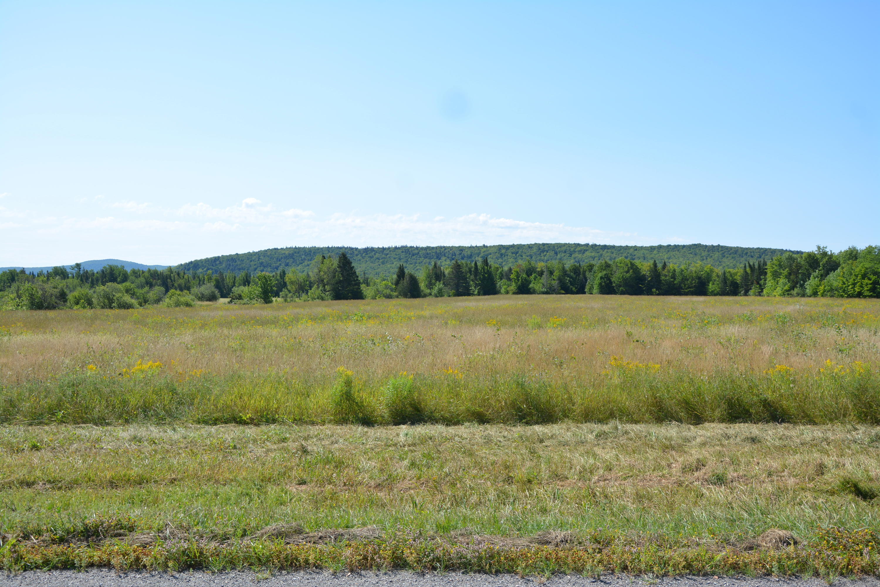 1157 Town Line Road Dyer Brook, ME 04747 - Photo 10 of 18 DSC_0059