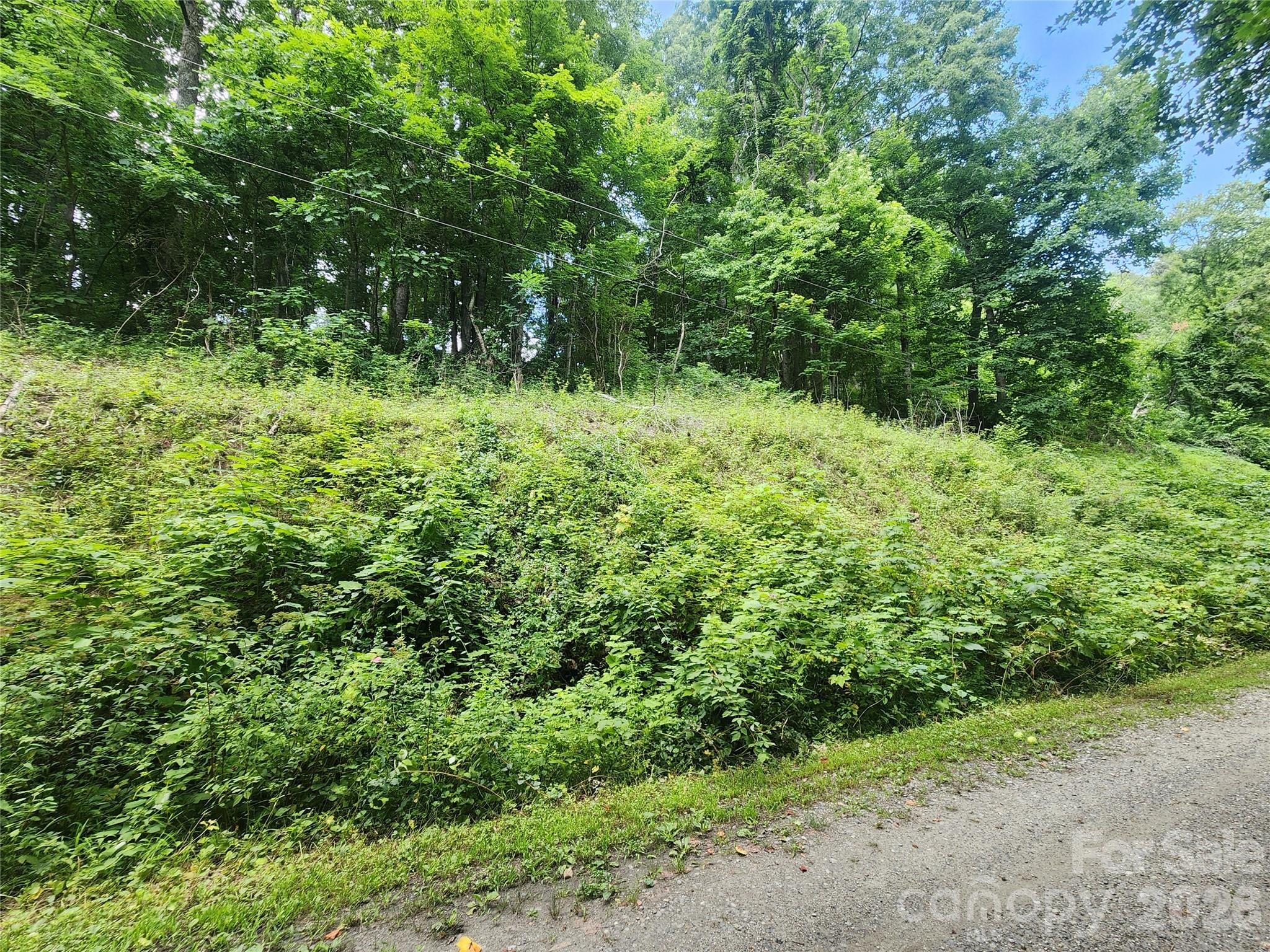 0 Jacks Knob Road Barnardsville, NC 28709 - Photo 1 of 5