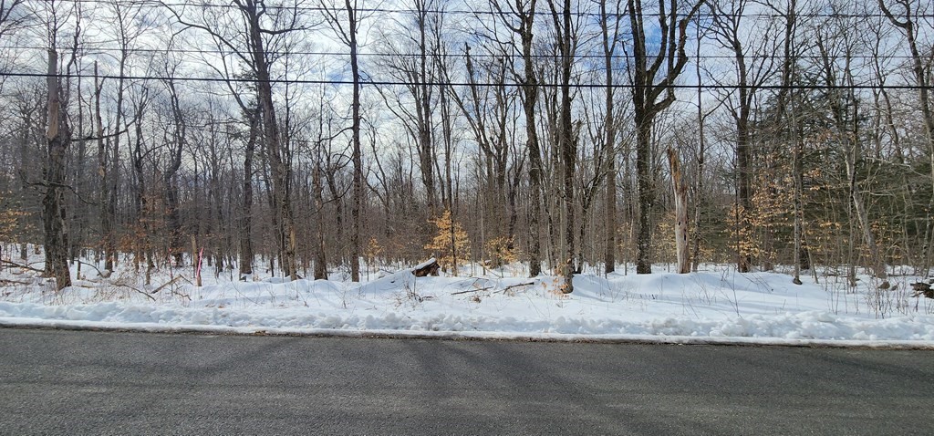 0 New Hartford Road Sandisfield, MA 01255 - Photo 1 of 3 a view of a backyard with a fountain