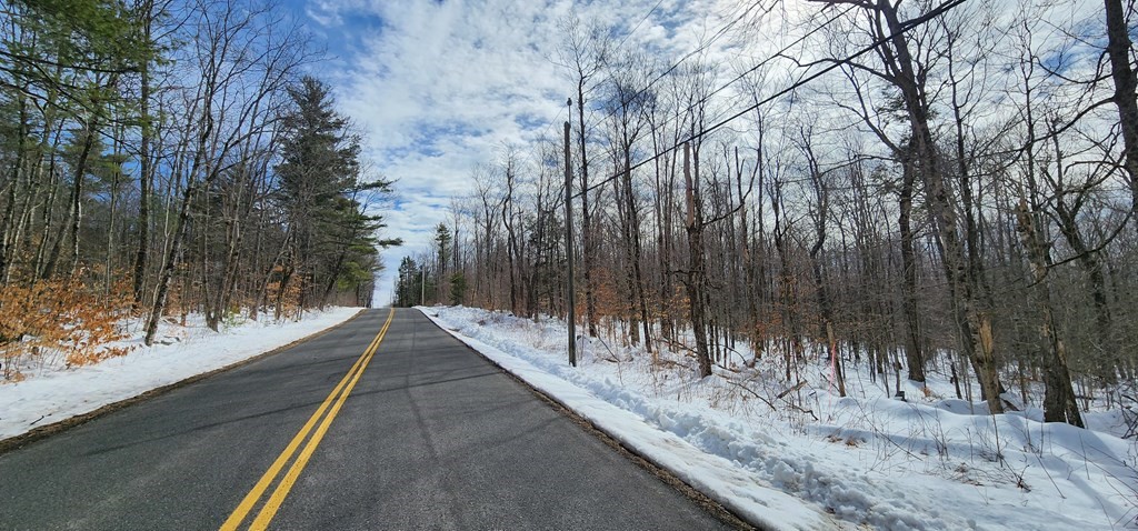 0 New Hartford Road Sandisfield, MA 01255 - Photo 2 of 3 a view of a pathway with a backyard of house