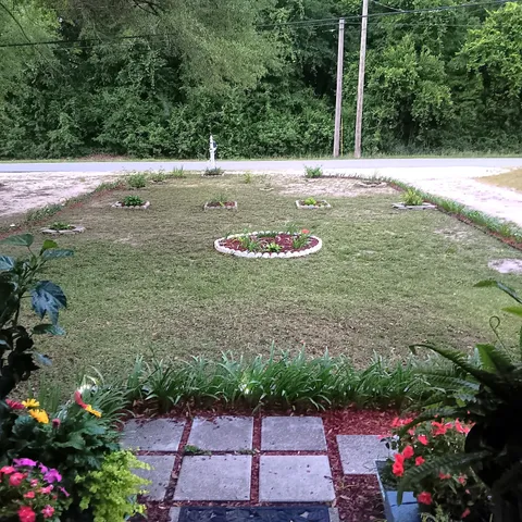 a view of a backyard