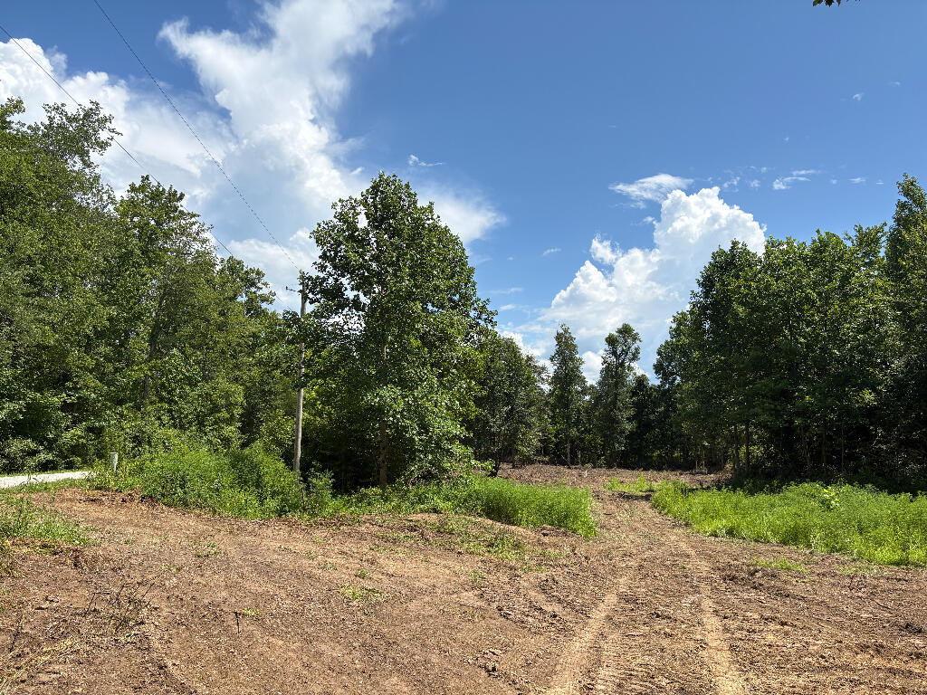 Tbd Forge Mill Road Clay City, KY 40312 - Photo 2 of 43 01