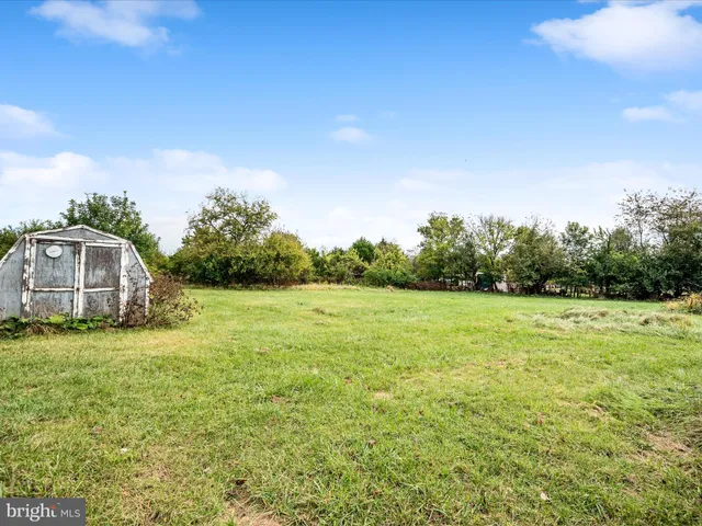 a view of a field of grass and trees