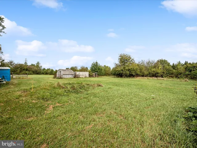 a view of a field with an trees