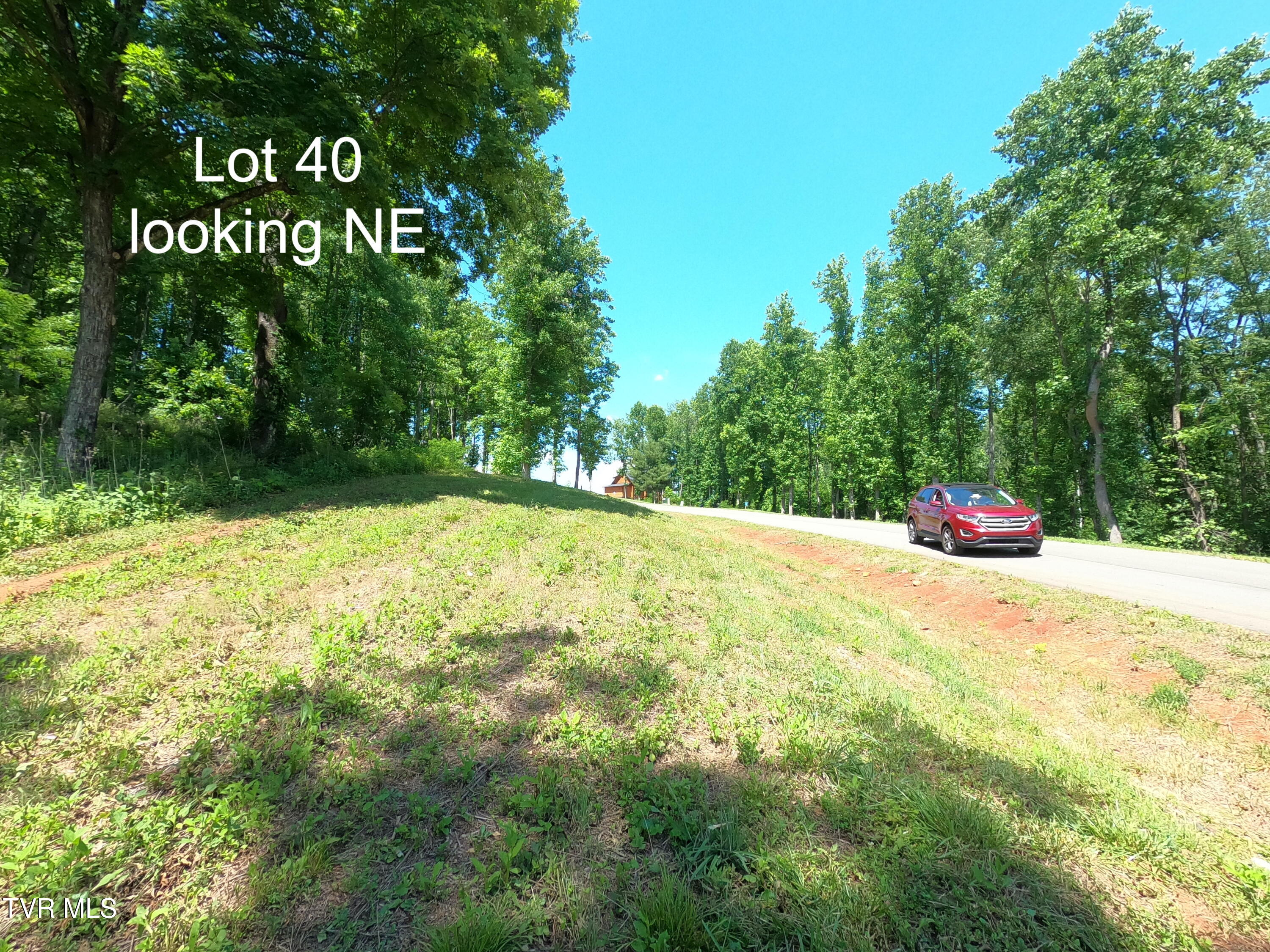 Lot 40 Cowan Town Road, Unit 40 Butler, TN 37640 - Photo 6 of 117 GOPR4018