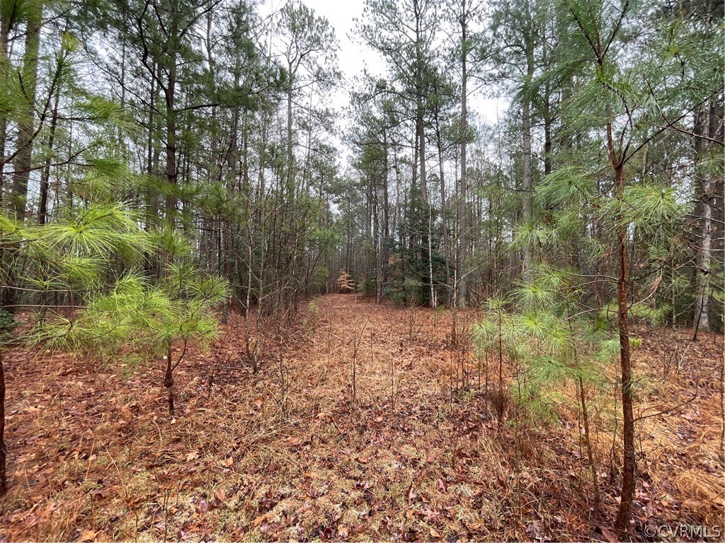 26.3 Acres (off) Good Hope Road Lanexa, VA 23089 - Photo 18 of 42 Gallery Image 18