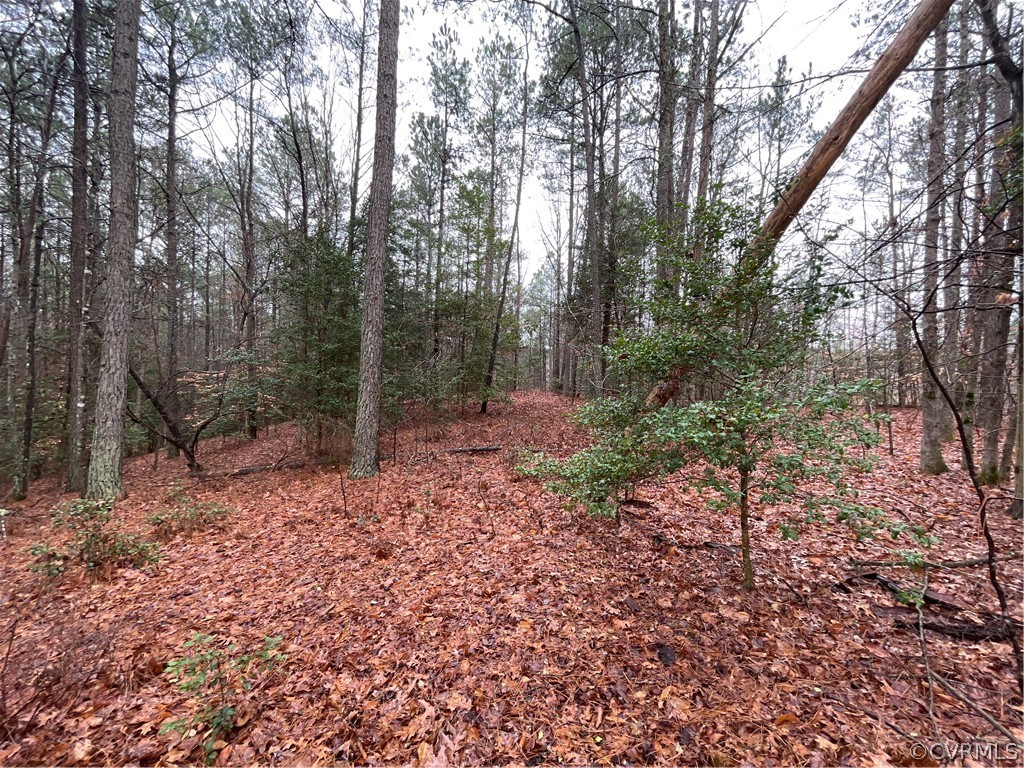 26.3 Acres (off) Good Hope Road Lanexa, VA 23089 - Photo 20 of 42 Gallery Image 20