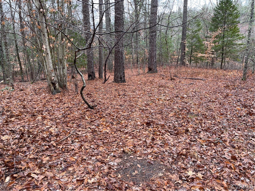 26.3 Acres (off) Good Hope Road Lanexa, VA 23089 - Photo 29 of 42 Gallery Image 29