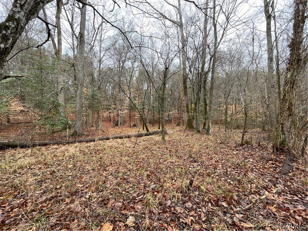 26.3 Acres (off) Good Hope Road Lanexa, VA 23089 - Photo 31 of 42 Gallery Image 31