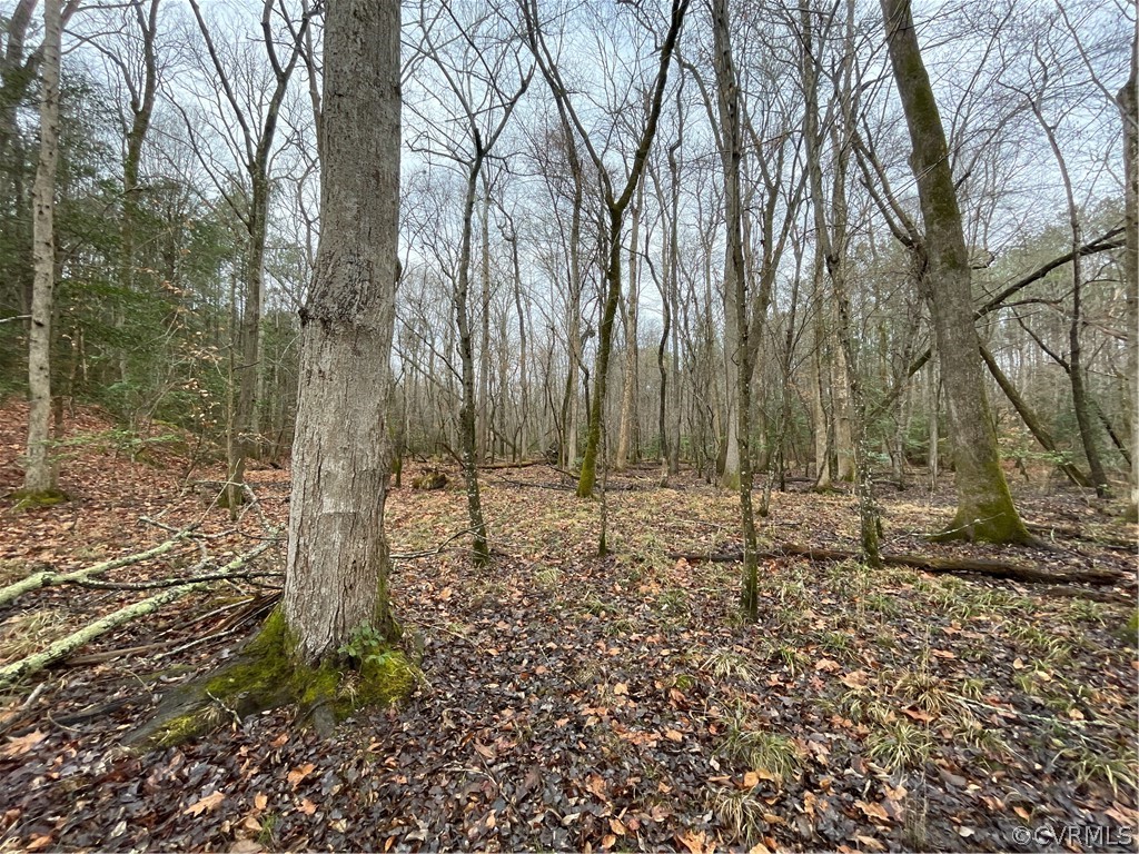 26.3 Acres (off) Good Hope Road Lanexa, VA 23089 - Photo 33 of 42 Gallery Image 33