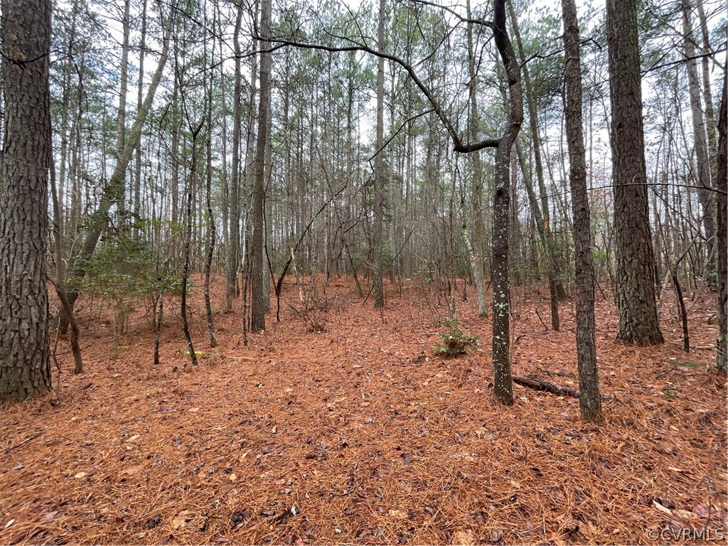 26.3 Acres (off) Good Hope Road Lanexa, VA 23089 - Photo 36 of 42 Gallery Image 36