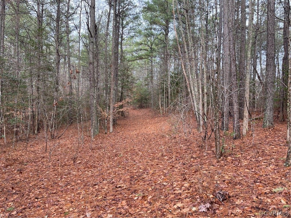 26.3 Acres (off) Good Hope Road Lanexa, VA 23089 - Photo 38 of 42 Gallery Image 38