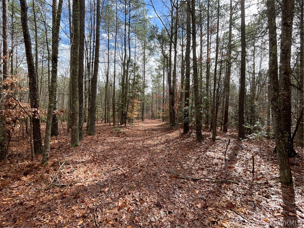 26.3 Acres (off) Good Hope Road Lanexa, VA 23089 - Photo 41 of 42 Gallery Image 41