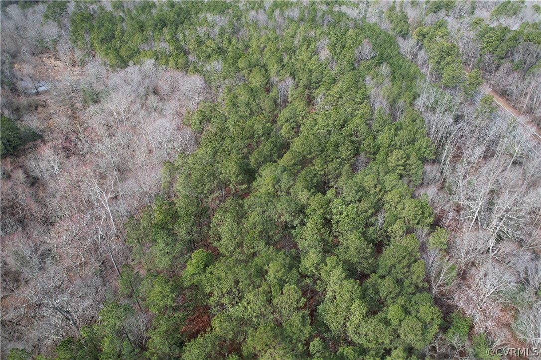 26.3 Acres (off) Good Hope Road Lanexa, VA 23089 - Photo 5 of 42 Gallery Image 5