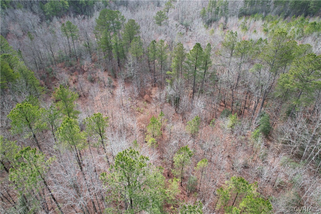26.3 Acres (off) Good Hope Road Lanexa, VA 23089 - Photo 6 of 42 Gallery Image 6