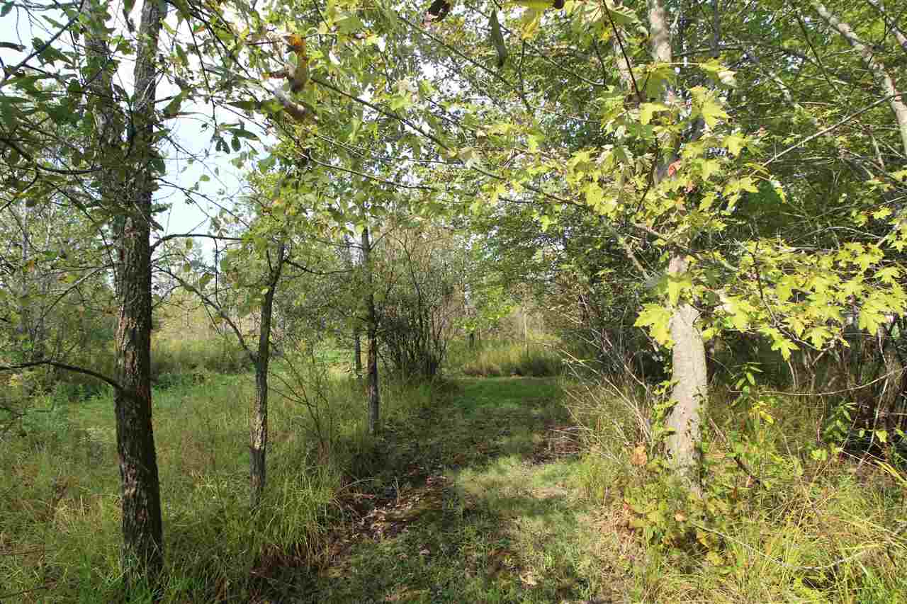 7303 Reid Road Swartz Creek, MI 48473 - Photo 35 of 39 50055171-34.JPG