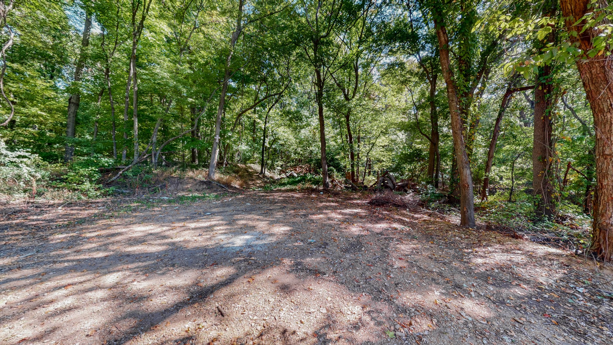 0 Pump Station Road New Johnsonville, TN 37134 - Photo 11 of 34 a view of outdoor space with trees
