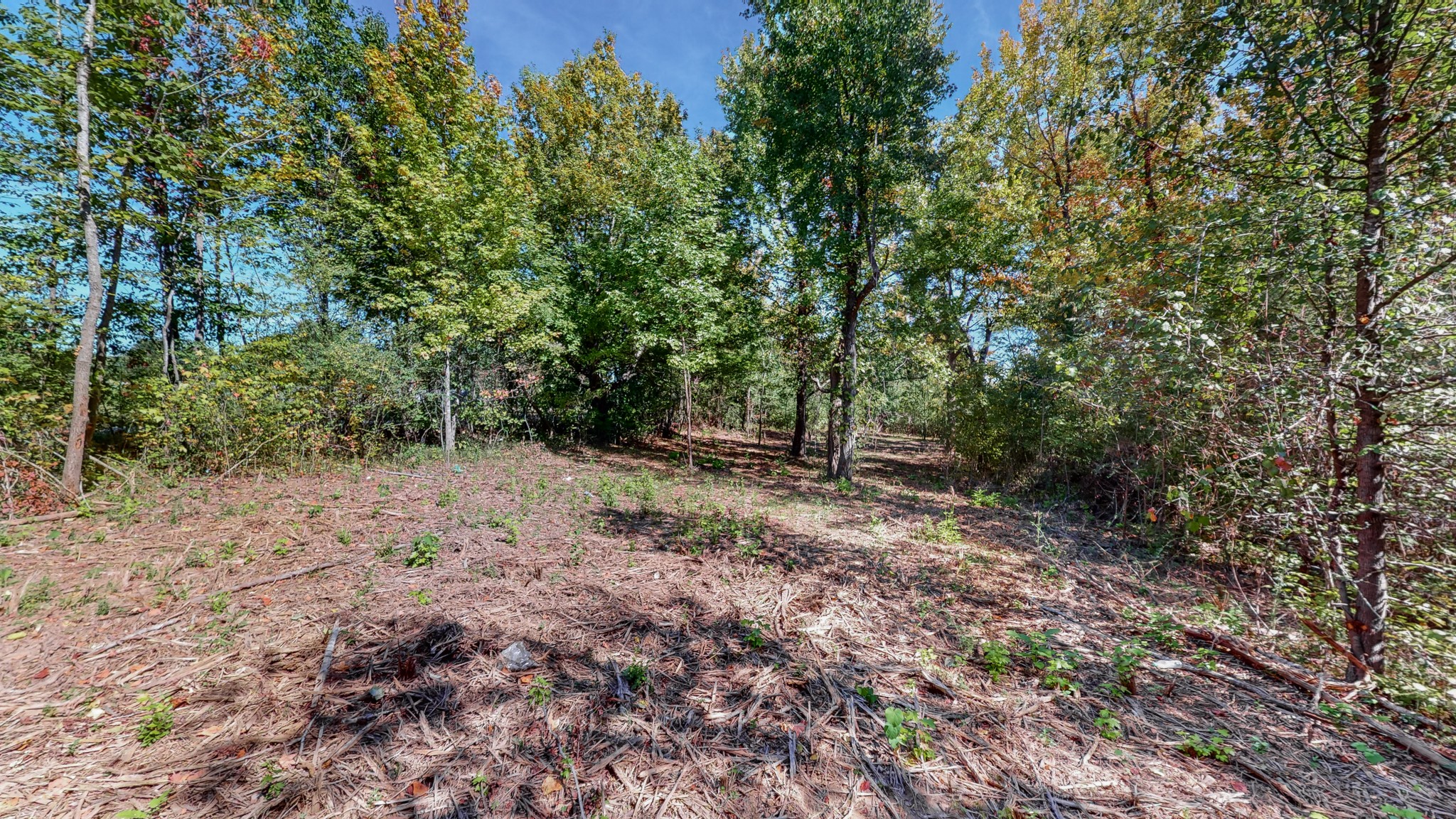 0 Pump Station Road New Johnsonville, TN 37134 - Photo 12 of 34 a view of backyard with green space