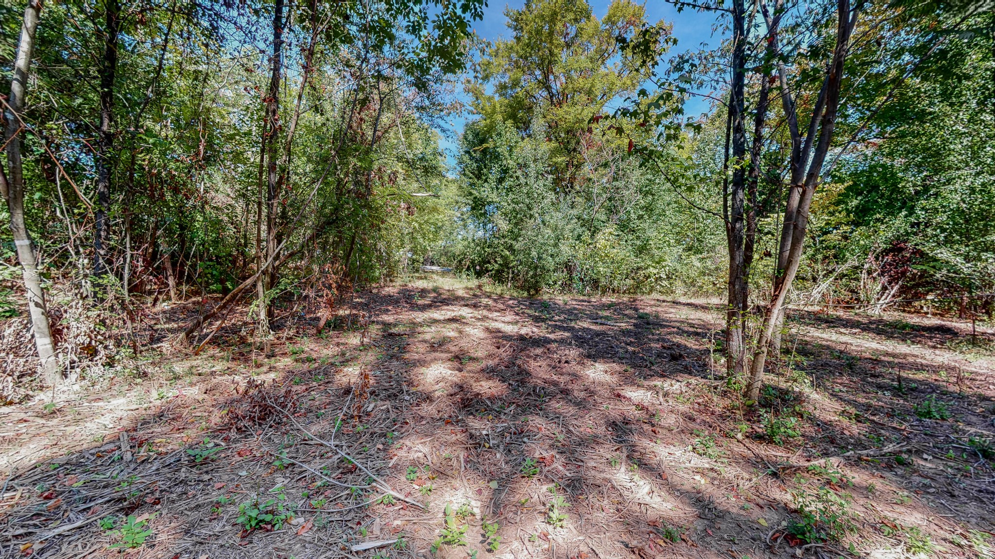 0 Pump Station Road New Johnsonville, TN 37134 - Photo 13 of 34 a view of outdoor space and trees