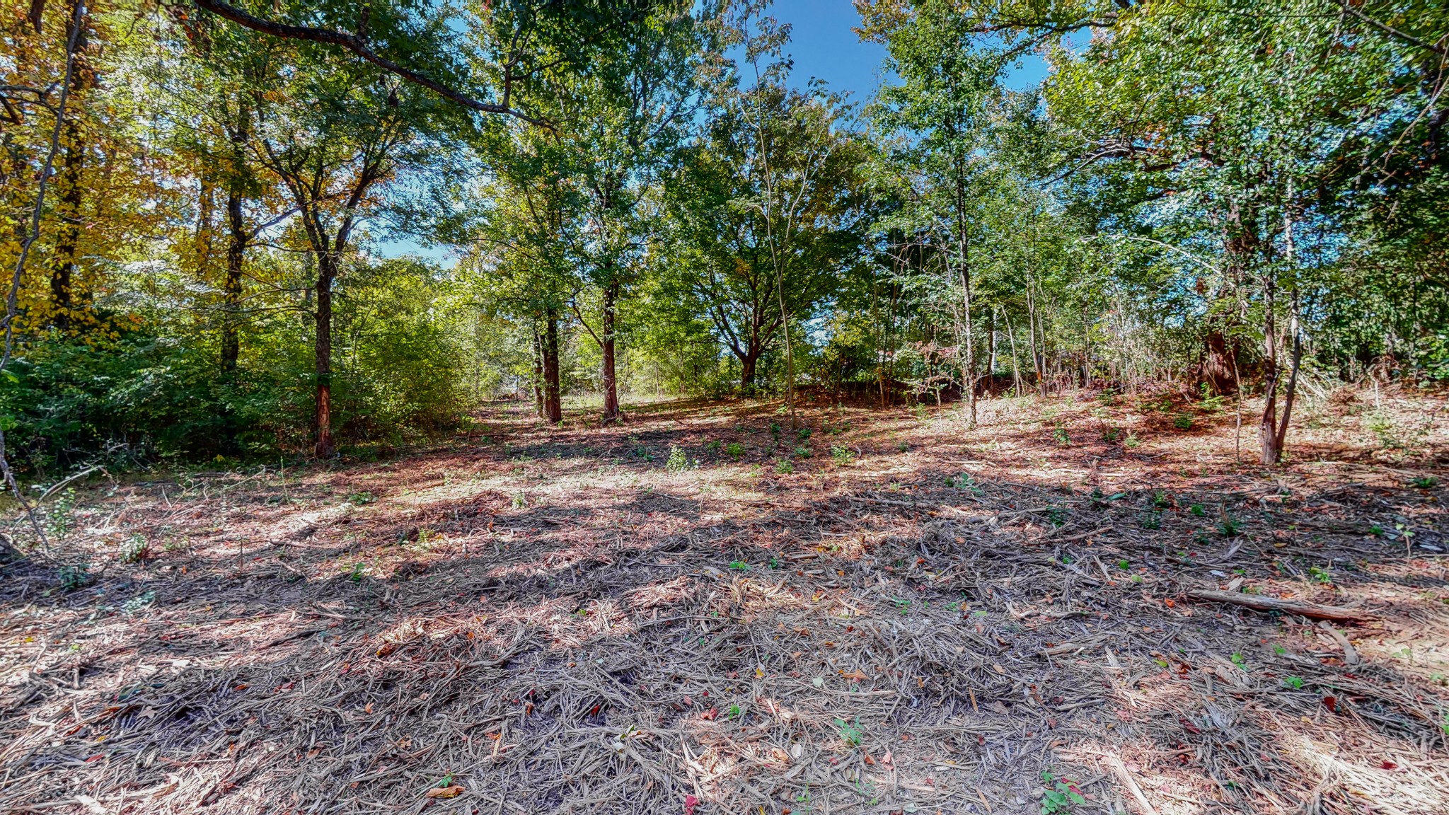 0 Pump Station Road New Johnsonville, TN 37134 - Photo 14 of 34 a view of outdoor space with tree s