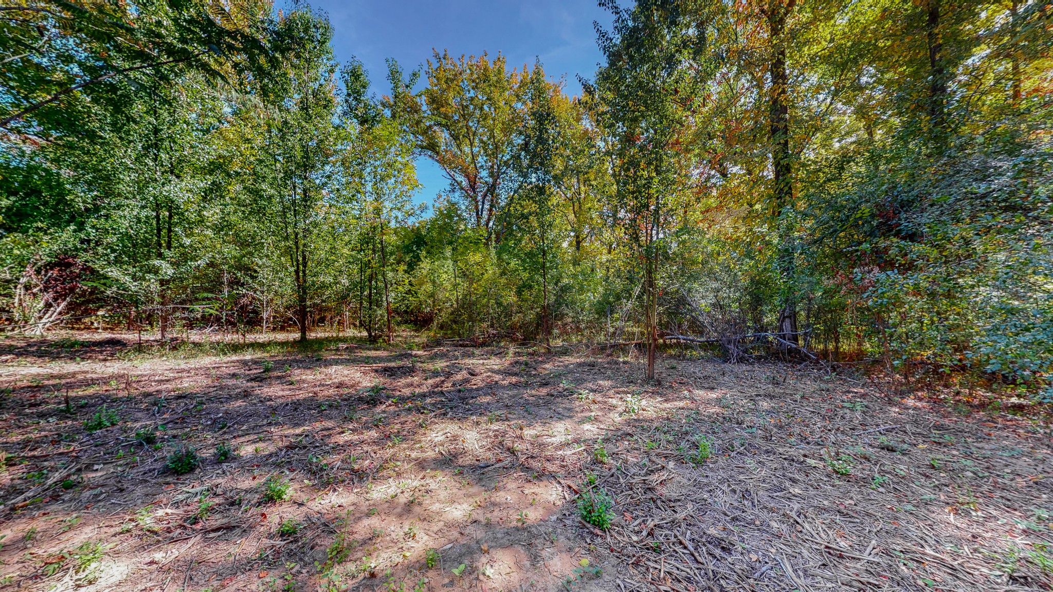 0 Pump Station Road New Johnsonville, TN 37134 - Photo 15 of 34 a view of a forest with trees