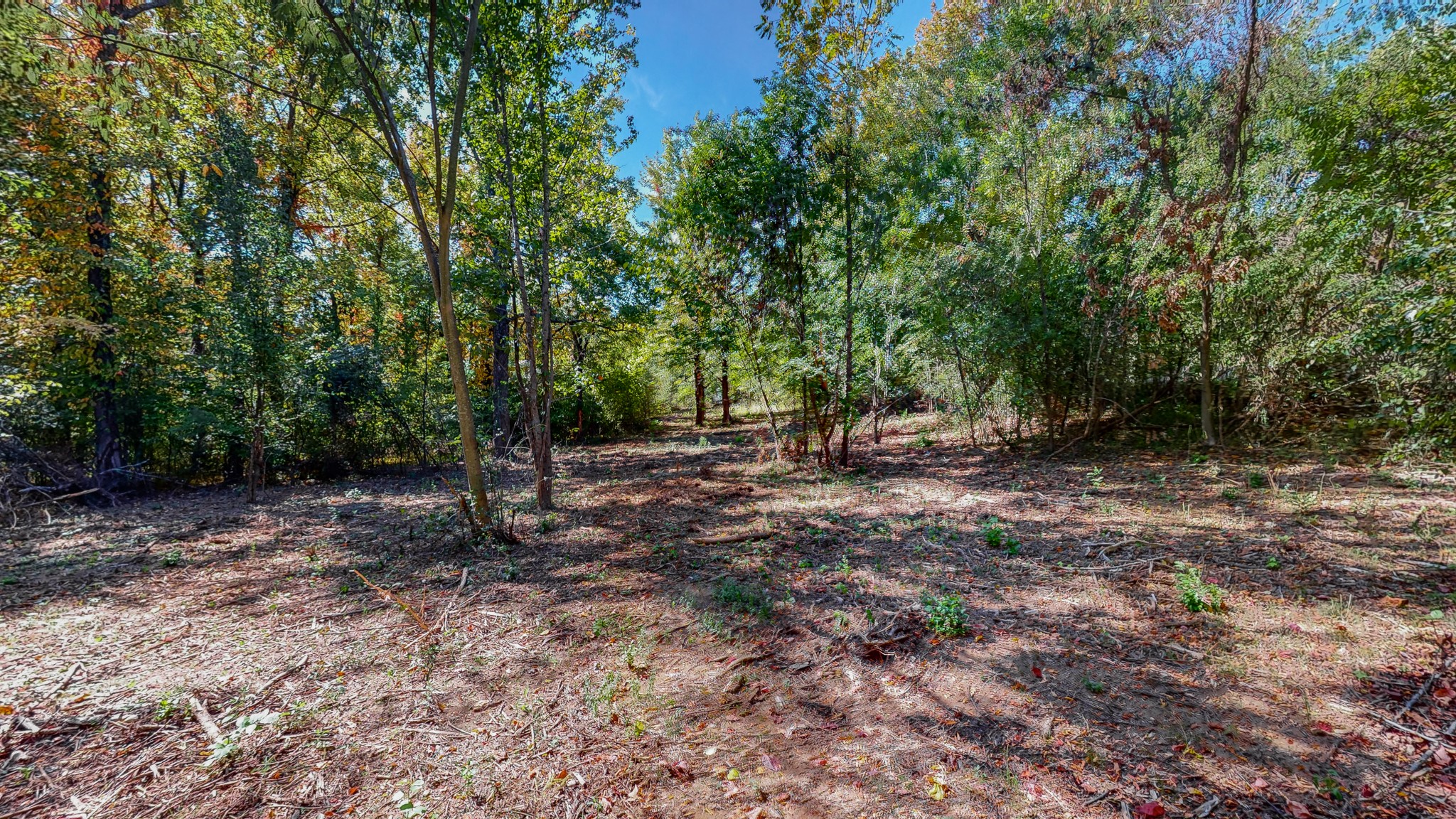 0 Pump Station Road New Johnsonville, TN 37134 - Photo 16 of 34 a view of outdoor space with trees