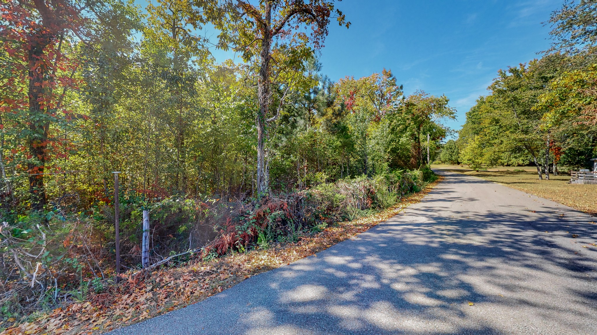 0 Pump Station Road New Johnsonville, TN 37134 - Photo 17 of 34 a view of a yard with plants and trees