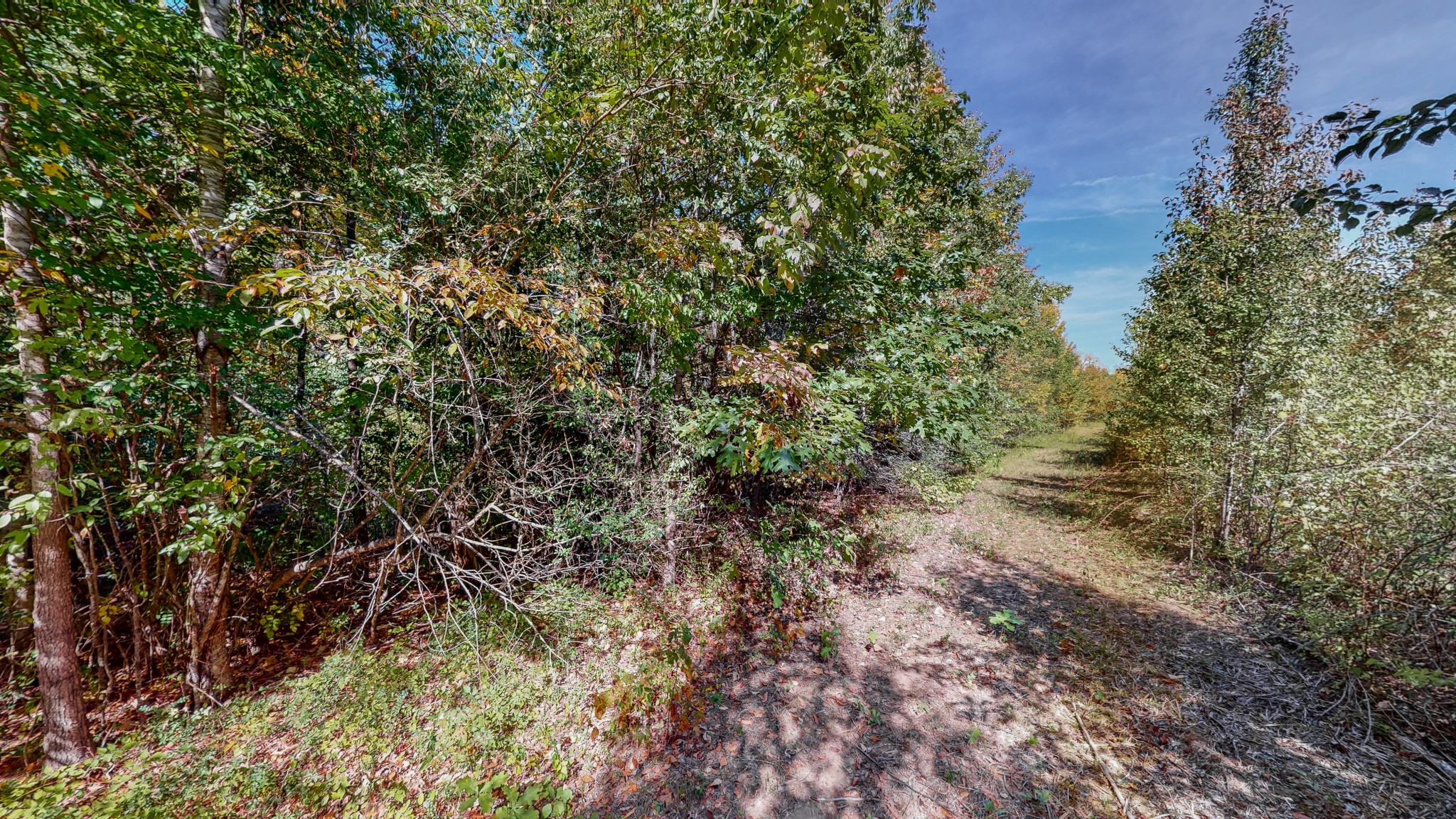 0 Pump Station Road New Johnsonville, TN 37134 - Photo 24 of 34 a view of a large yard with lots of bushes