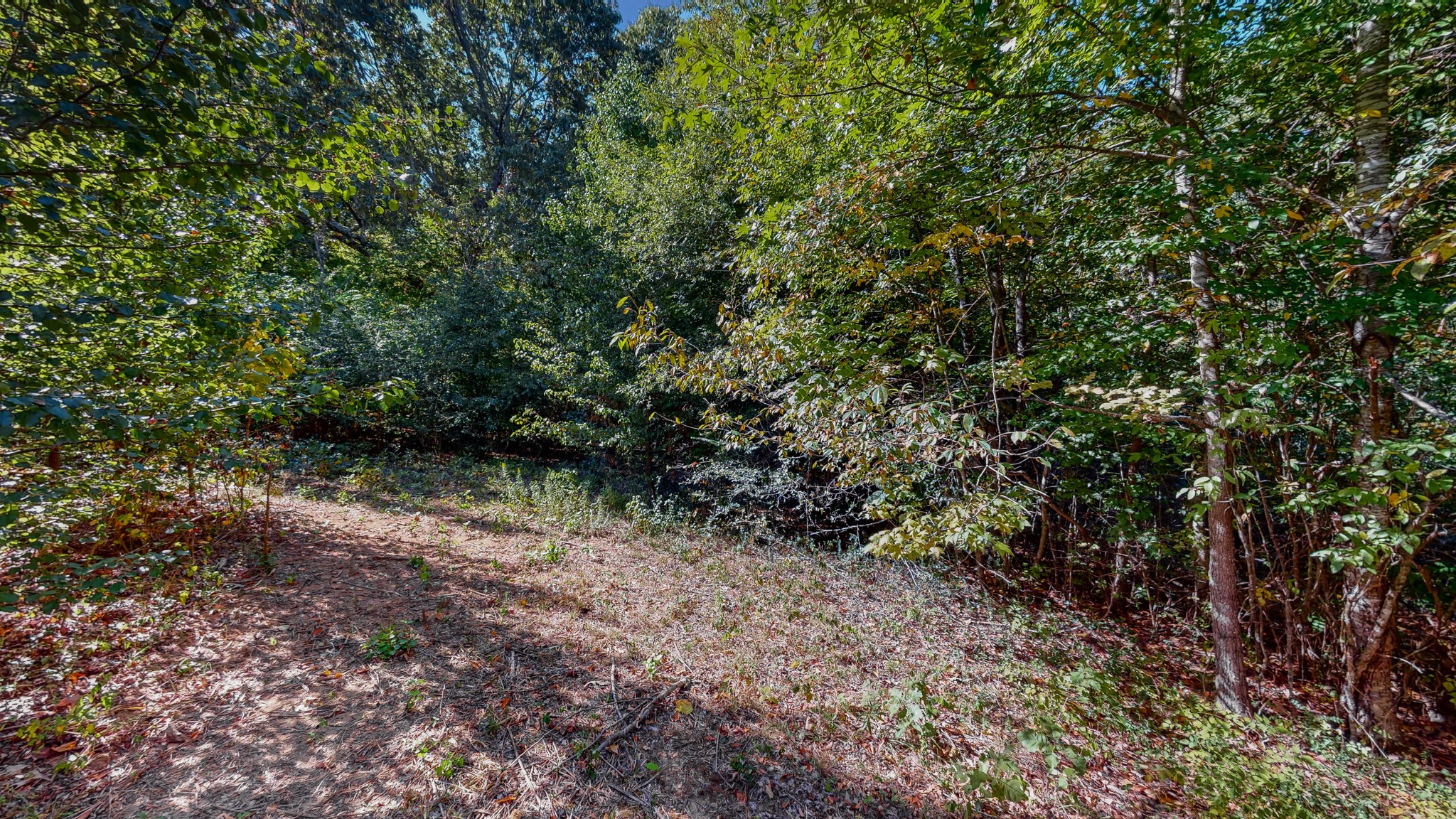0 Pump Station Road New Johnsonville, TN 37134 - Photo 25 of 34 a view of a yard with a tree