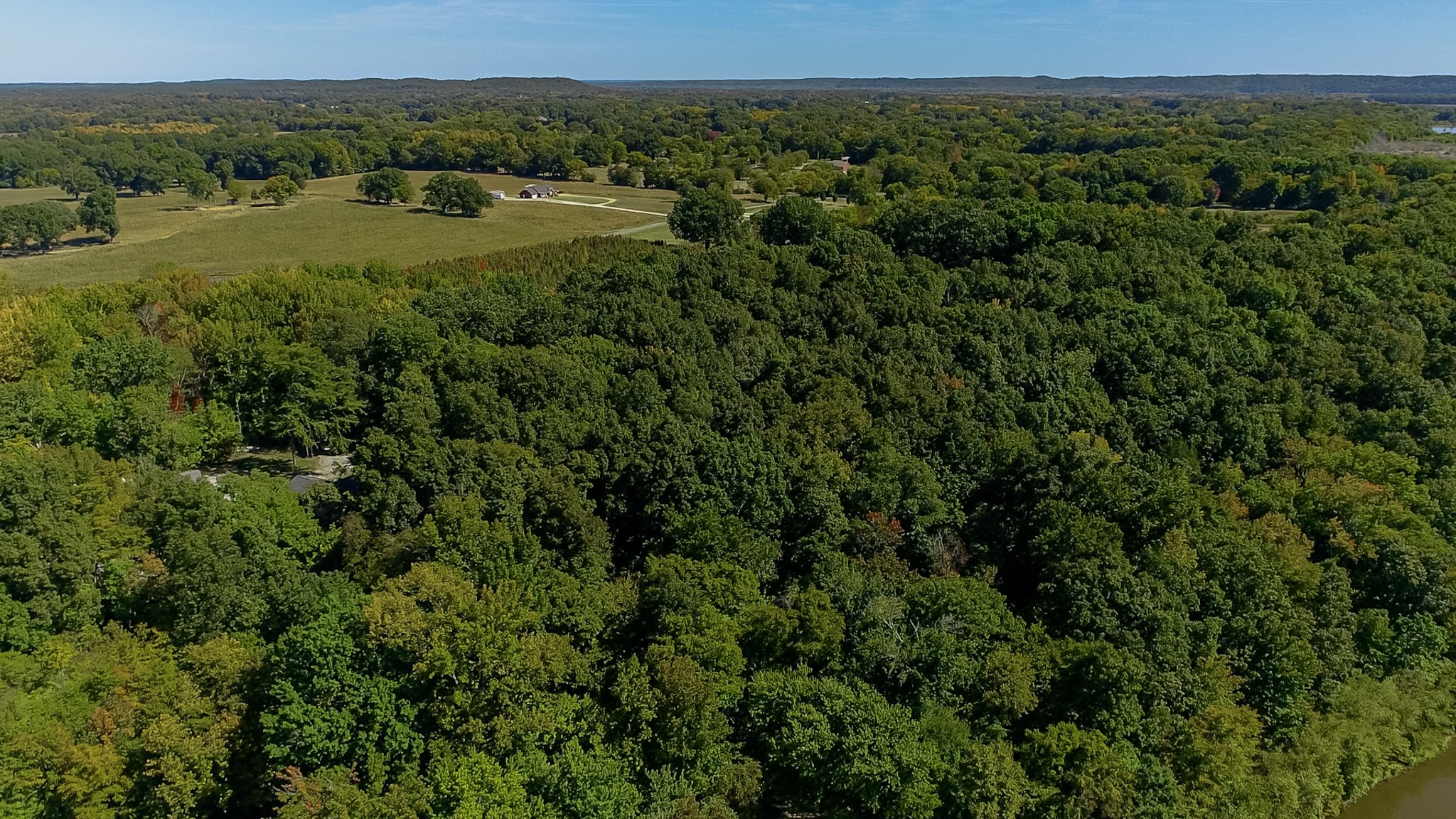 0 Pump Station Road New Johnsonville, TN 37134 - Photo 31 of 34 a view of a lush green forest with trees and some houses