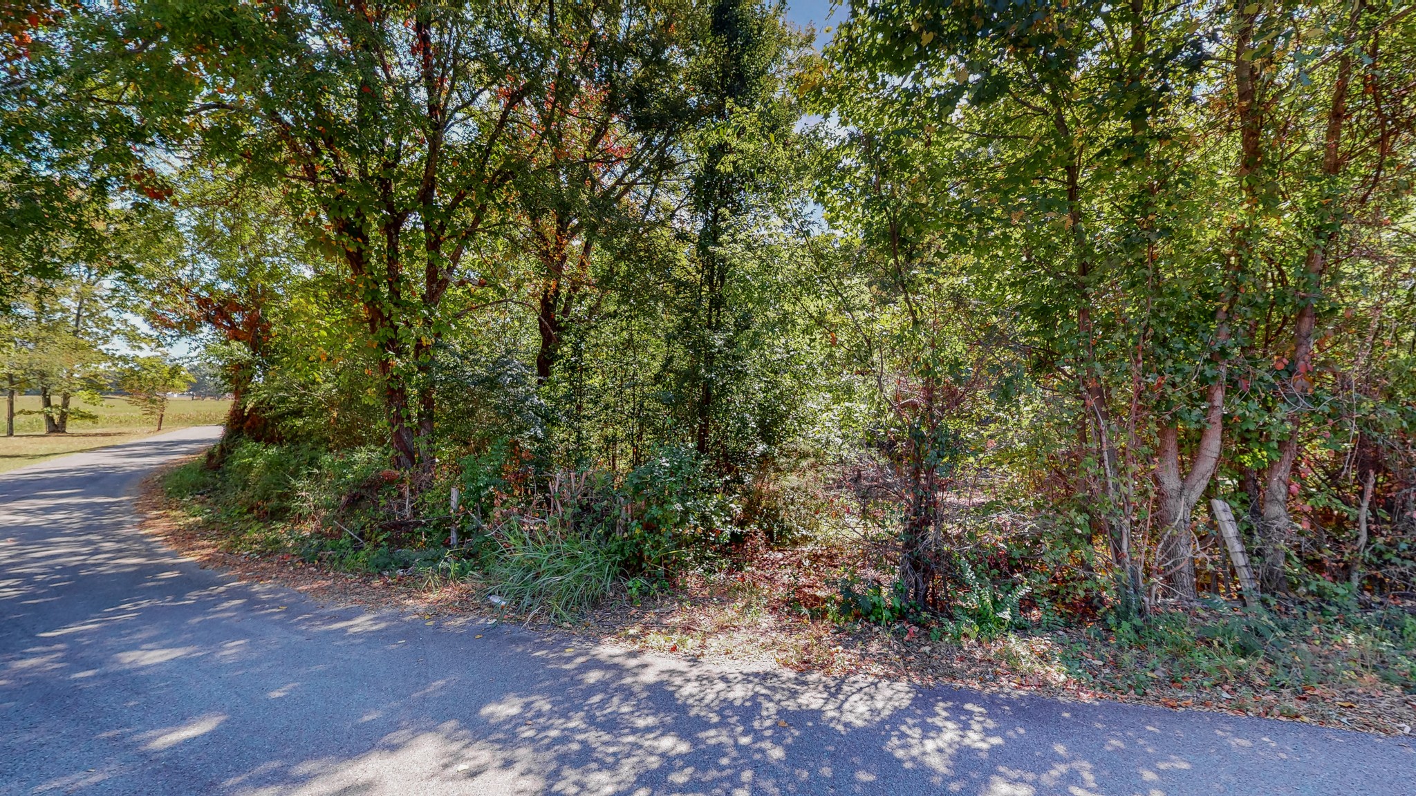 0 Pump Station Road New Johnsonville, TN 37134 - Photo 34 of 34 a big yard with lots of green space and trees