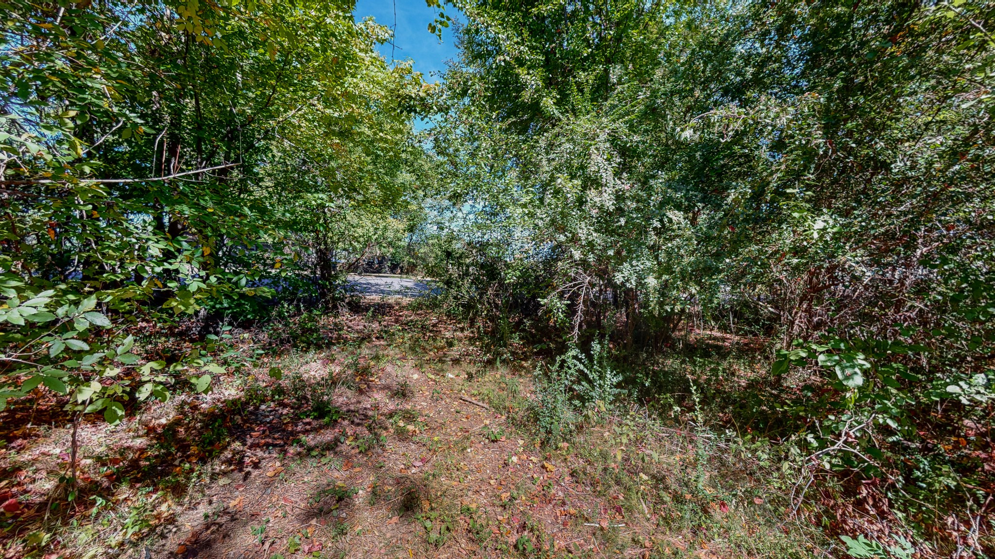 0 Pump Station Road New Johnsonville, TN 37134 - Photo 9 of 34 a view of a yard